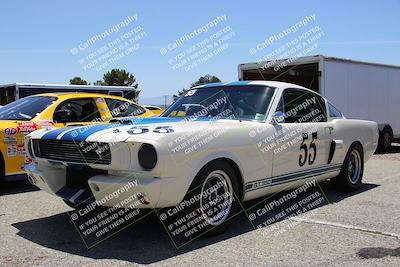 media/May-07-2022-Cobra Owners Club of America (Sat) [[e681d2ddb7]]/Around the Pits/